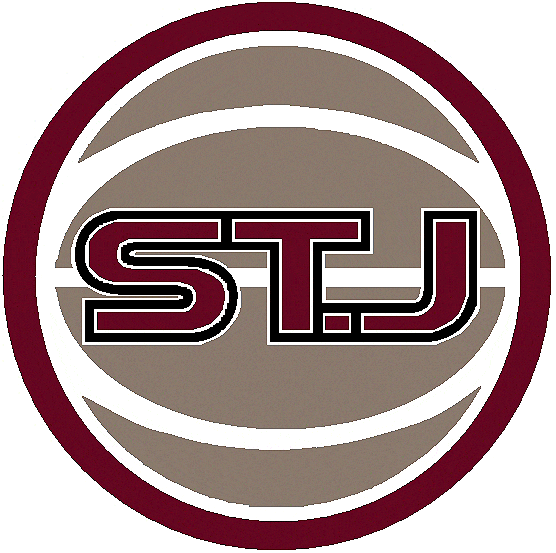 St. John's Red Storm 2004-2006 Alternate Logo iron on transfers for fabric
